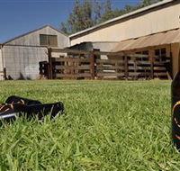 Wilkadene Woolshed Brewery - Rental Cars