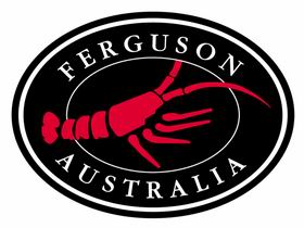 Ferguson Australia Pty Ltd - Rental Cars 0