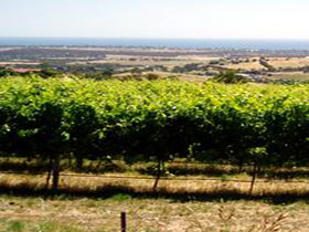 Braydun Hill Vineyard - Rental Cars 0