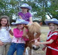 Amberainbow Pony Rides - Rental Cars