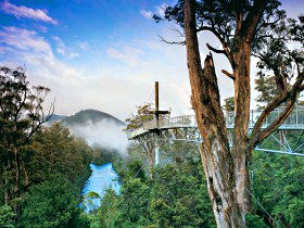 Tahune Adventures Tasmania - Rental Cars 0