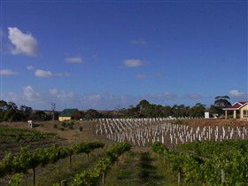 Deep Creek Wines And Alpacas - Rental Cars 0