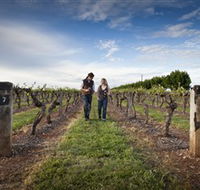 Coonawarra Wineries Walking Trail - Rental Cars