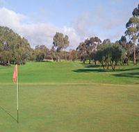 Regency Park Golf Course - Rental Cars