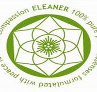 Eleaner - Rental Cars