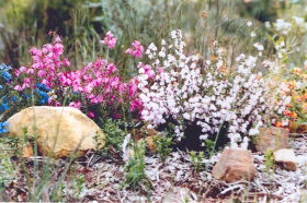 Stokes Bay Bush Garden - Rental Cars 0