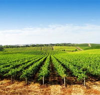 Aldinga Bay Winery - Rental Cars