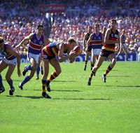 AAMI Stadium Tours - Rental Cars
