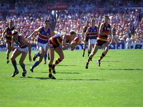 AAMI Stadium Tours - Rental Cars 0