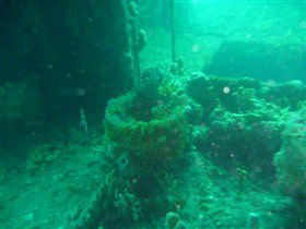 Wallaroo Scuba Club - Rental Cars 0