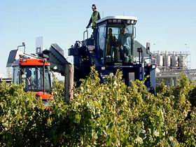 Ballast Stone Estate Wines Pty Ltd - Rental Cars 0