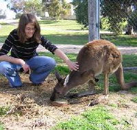 Pendleton Farmstay - Rental Cars