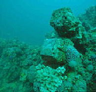 Adelaide's Underwater Heritage Trail - Rental Cars