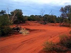 Tallaringa Conservation Park - Rental Cars 0