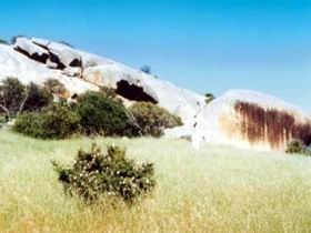 Ucontitchie Hill - Rental Cars 0