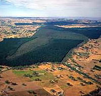 Mount Crawford Forest Reserve - Rental Cars