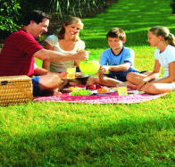 Bruny Island Berry Farm - Rental Cars