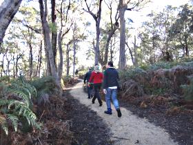 Bridport Walking Track - Rental Cars 0