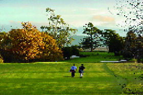 Quamby Golf And Country Club - Rental Cars 0