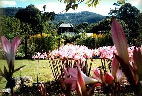 Blueberry Cottage Open Gardens - Rental Cars 0