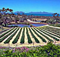 Kate's Berry Farm - Rental Cars
