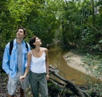 Mooloolah River National Park Jowarra Section - Rental Cars