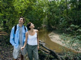 Mooloolah River National Park, Jowarra Section - Rental Cars 0