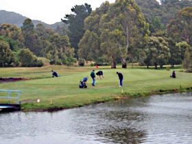 Penguin Golf Course - Rental Cars 0