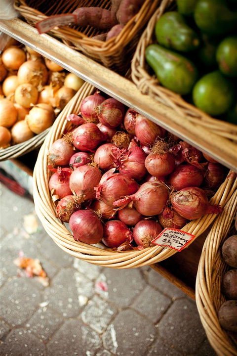 Salamanca Market - Rental Cars 3