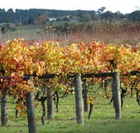 Apsley Gorge Vineyard - Rental Cars