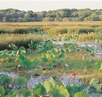 Fogg Dam Conservation Reserve - Rental Cars