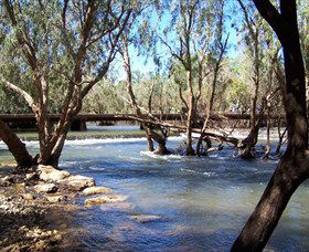Low Level Nature Reserve - Rental Cars 0