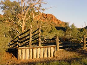 Illamurta Springs Conservation Reserve - Rental Cars 0
