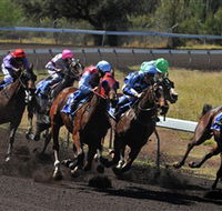 Alice Springs Turf Club - Rental Cars