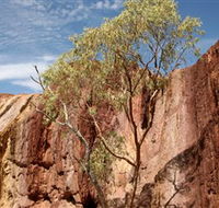 Ochre Pits - Rental Cars