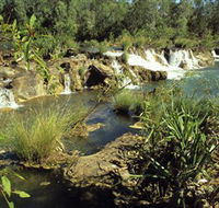 Flora River Nature Park - Rental Cars