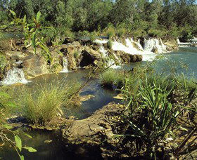 Flora River Nature Park - Rental Cars 0