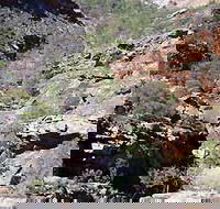 Serpentine Chalet Bush Camping Area - Rental Cars
