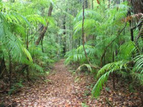 Mapleton QLD Rental Cars