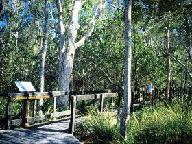 Noosa Heads QLD Rental Cars