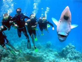 Magic Mountain Dive Site - Rental Cars 0