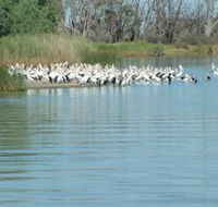 Lake Ross - Rental Cars