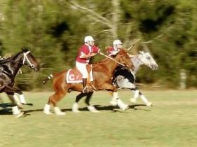 Mount Sturt QLD Rental Cars