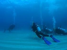 Child Island Dive Site - Rental Cars 0