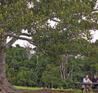 Ravensbourne National Park