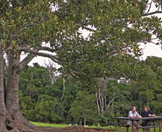 Book Ravensbourne QLD Attractions Rental Cars Rental Cars