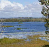 Lake Barfield - Rental Cars