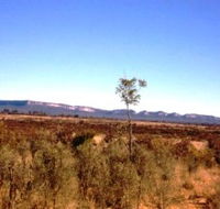 Tambos Wilderness Way - Rental Cars