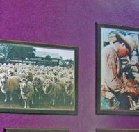 Charleville Photographic Display - Rental Cars