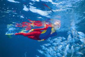 Outer Rocks Dive Site - Rental Cars 0